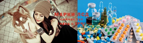 мескалин Арсеньев