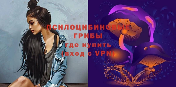 мескалин Арсеньев