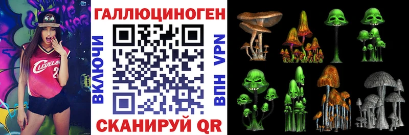 kraken   Чапаевск  Галлюциногенные грибы Cubensis 